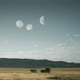 The Endless